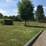 Du Pont De Bois * Thuin
