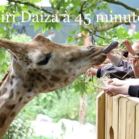 Du Pont De Bois Thuin