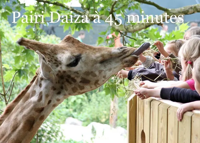 Du Pont De Bois Thuin